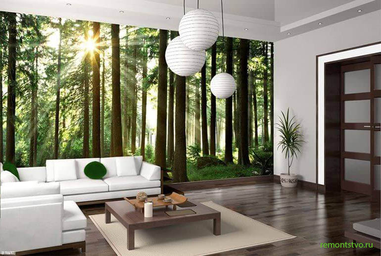 Как выбрать красивые фотообои